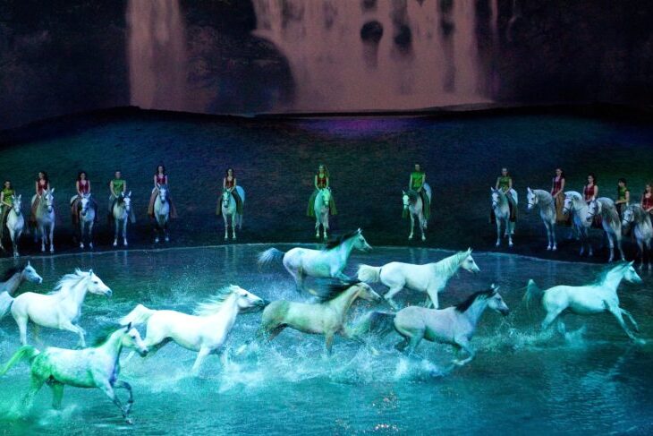 10 Must See Shows in Vegas