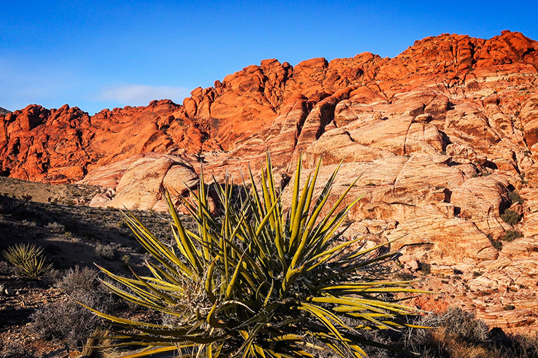 Red Rock Canyon